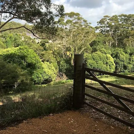 Avoca Beach And Bush Exterior photo