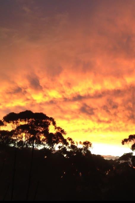 Apartment Avoca And Bush Avoca Beach