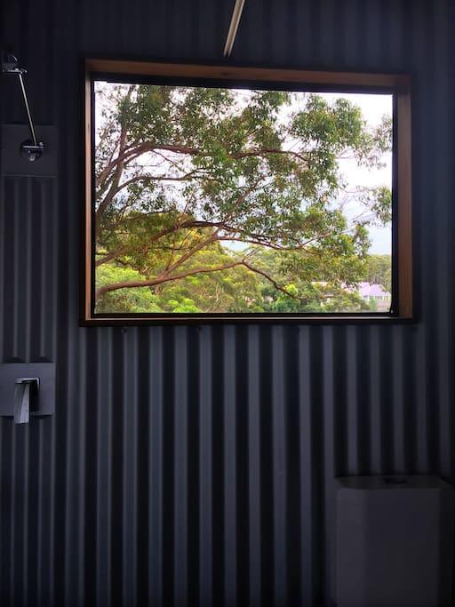 Apartment Avoca And Bush