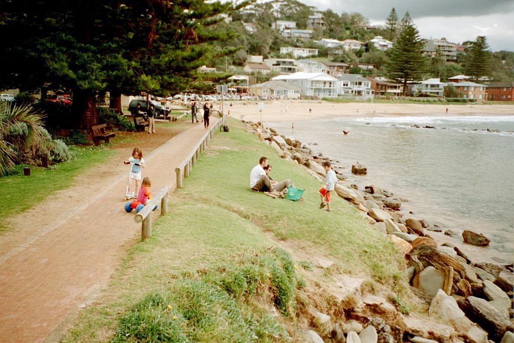 Avoca And Bush Apartment